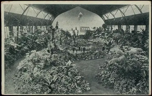 Postcard Bubny-Prag Praha ZAHRADNICKO-OVOCNICKÉ Halle mit Pflanzen 1910