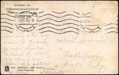 Postcard Bubny-Prag Praha ZAHRADNICKO-OVOCNICKÉ Halle mit Pflanzen 1910