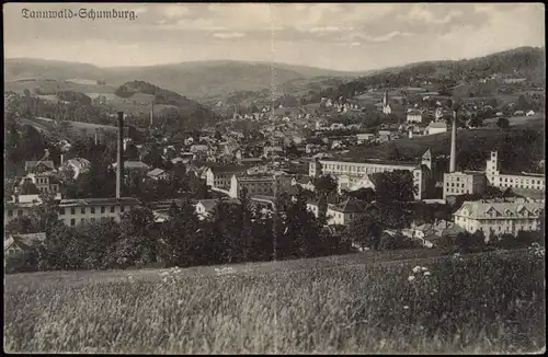 Schumburg an der Desse-Tannwald Šumburk nad Desnou Tanvald Stadt, Fabriken 1932