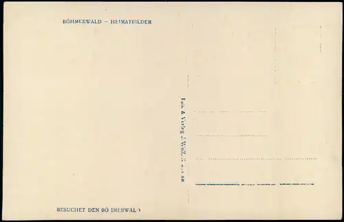 Postcard Prachatitz Prachatice Urwald von Kubani Böhmerwald 1930