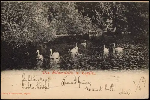 Postcard Teplitz-Schönau Teplice Der Schlossteich mit Schwänen 1899
