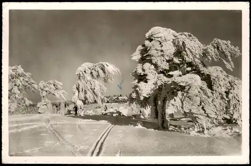Ansichtskarte Freiburg im Breisgau Schauinsland-Halde im Winter 1955
