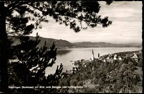 Sipplingen Bodensee Panorama mit Blick nach Bodman und Ludwigshafen 1957