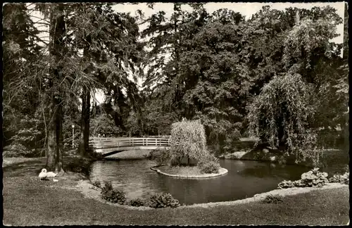 Ansichtskarte Bad Schwalbach Im Kurpark Kurgarten 1963