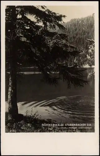 Postcard Stubenbach Prášily Stubenbacher See 1930