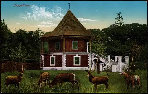 Postcard Eichwald (Erzgebirge) Dubí Tuppelburg, Hirsche 1910