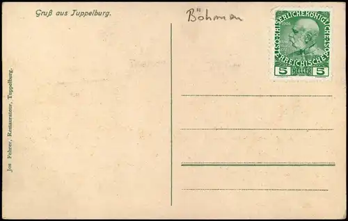 Postcard Eichwald (Erzgebirge) Dubí Tuppelburg, Hirsche 1910