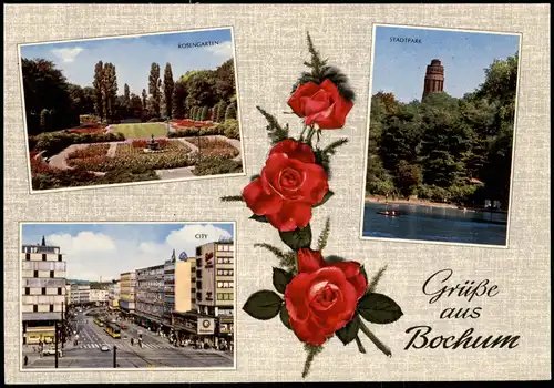 Ansichtskarte Bochum Rosengarten, City, Stadtpark 1971