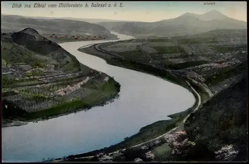 Salesel Dolní Zálezly Blick ins Elbtal vom Müllerstein Böhmen# 1909