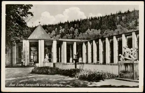 Ansichtskarte Bad Elster Salzquelle und Wandelhalle 1954