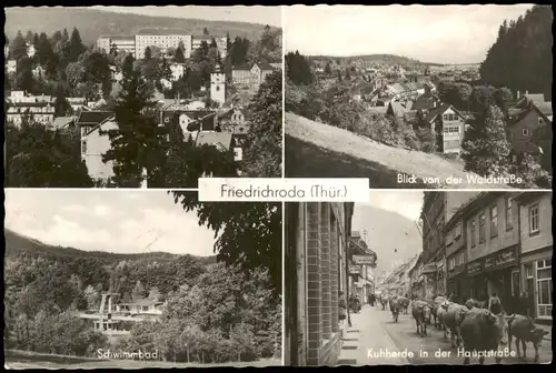 Friedrichroda DDR Mehrbildkarte mit 4 Ortsansichten u.a. Schwimmbad 1960