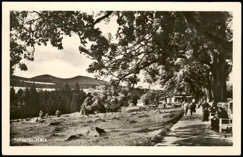 Ansichtskarte Schierke Umland-Ansicht 1953