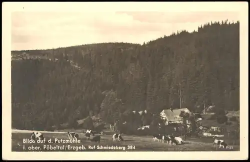 Ansichtskarte .Sachsen Blick auf d. Putzmühle im Pöbeltal Erzgebirge 1960