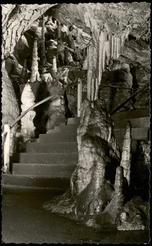 Ansichtskarte Rübeland Baumannshöhle Säulenhalle 1959