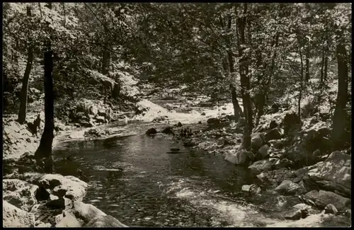 Ansichtskarte Rabenau Rabenauer Grund Bachlauf 1960