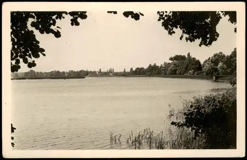 Ansichtskarte Teupitz Teupitzsee, Blick auf Schwerin 1956