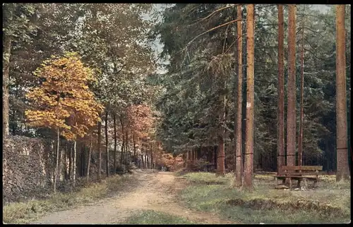 Langebrück-Dresden Dresdner Heide Am alten Saugarten bei Langebrück 1918