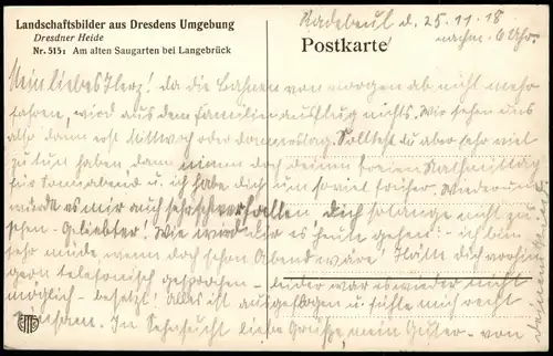 Langebrück-Dresden Dresdner Heide Am alten Saugarten bei Langebrück 1918