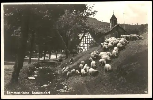 Ansichtskarte Bauersdorf Kr. Siegen Schaafsherde in der Stadt 1936