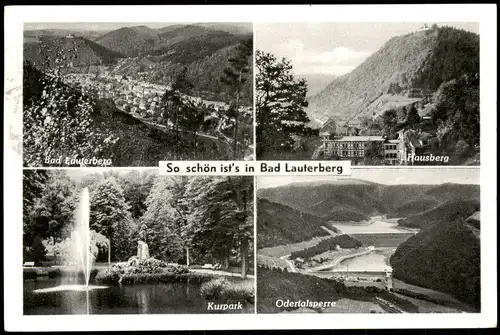 Ansichtskarte Bad Lauterberg im Harz Stadt, Hausberg, Kurpark 1962