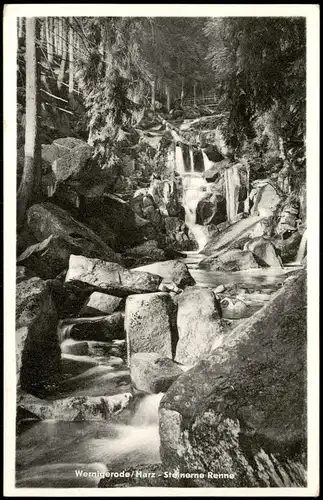 Ansichtskarte Wernigerode Steinerne Renne 1960