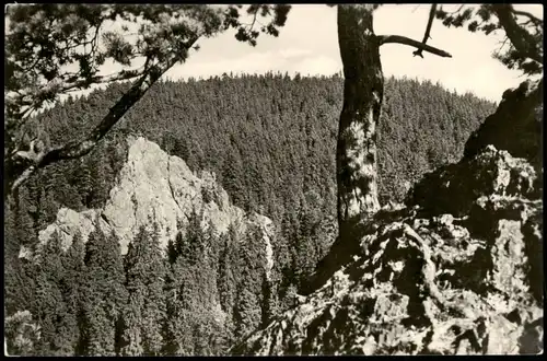 Ansichtskarte Tabarz/Thüringer Wald Blick nach dem Aschenbergstein 1958