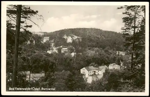 Ansichtskarte Bad Freienwalde Teilansicht Blick ins Brunnental 1955