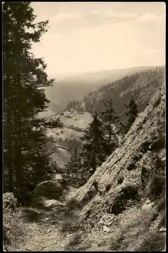 Ansichtskarte Lauscha Blick vom Lauschenstein ins Steinbachtal 1958/1957