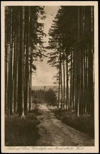 Ansichtskarte Bad Wörishofen Waldweg und Blick auf die Stadt 1926