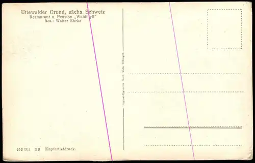 Ansichtskarte Wehlen Uttewalder Grund 1928