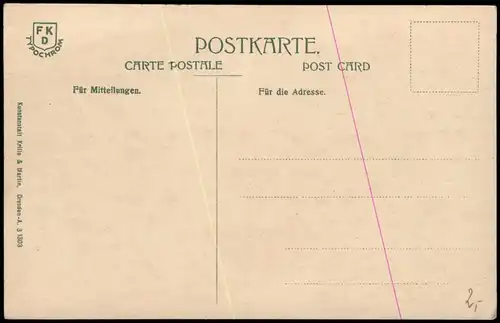 Ansichtskarte Hohnstein (Sächs. Schweiz) Polenztalwächter 1913