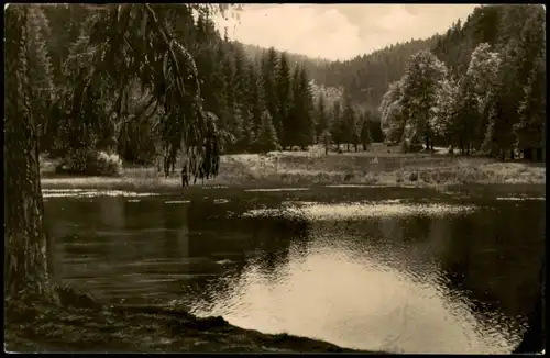 Finsterbergen-Friedrichroda Am Brandleiteteich Umland-Ansicht 1958