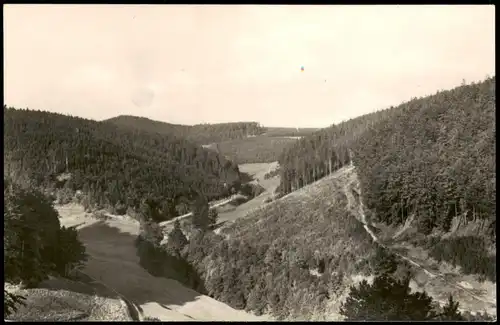 Ansichtskarte .Thüringen GIESSÜBEL Thür. Wald Im Neubrunntal 1963