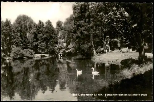 Ansichtskarte Bad Liebenstein Schwanenteich im Elisabeth-Park 1963
