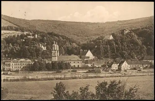 Miltenberg (Main) Panorama-Ansicht Blick auf Burg und Villen 1911/1909