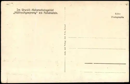 Falkenstein (Bayerischer Wald) Im Urwald Naturschutzgebiet  alkenstein 1930