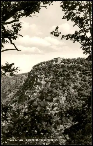 Thale (Harz) Berghotel Hexentanzplatz Foto Ansichtskarte 1964