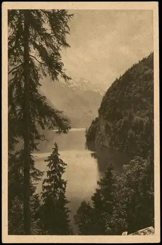 Ansichtskarte Schönau am Königssee Königssee von der Rabenwand 1920