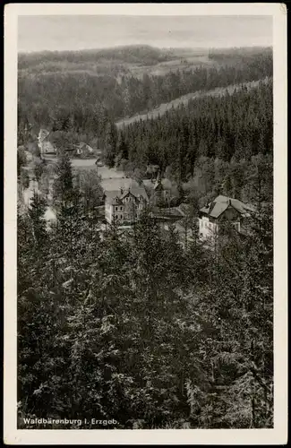 Ansichtskarte Waldbärenburg-Altenberg (Erzgebirge) Panorama Teilansicht 1954