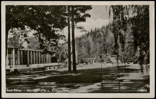 Ansichtskarte Bad Elster Wandelhalle u. Badekaffee 1954