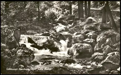 Ansichtskarte Ilsenburg (Harz) Umland-Ansicht Bachlauf Ilsetal im Harz 1967