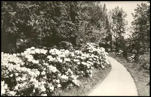 Ansichtskarte Kamenz Kamjenc Anlagen auf dem Hutberg 1967