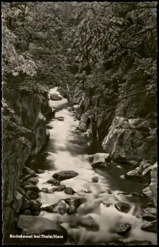 Ansichtskarte Thale (Harz) Partie im Bodekessel 1962