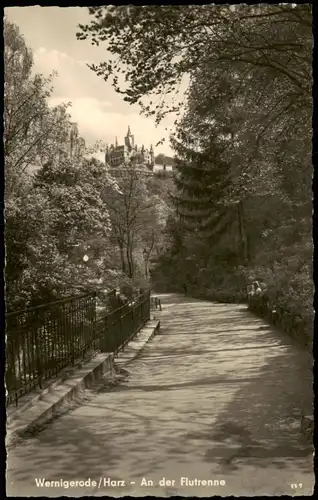 Ansichtskarte Wernigerode Partie An der Flutrenne zur DDR-Zeit 1959