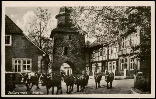 Ansichtskarte Stolberg (Harz) Rittertor Partie mit Kuhherde 1951