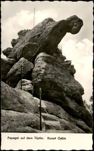 Ansichtskarte Oybin Umland-Ansicht Papagei auf dem Töpfer Kurort Oybin 1959