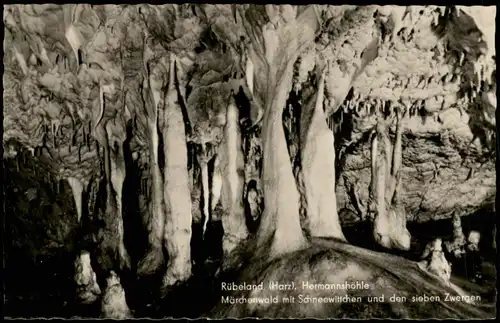 Ansichtskarte Rübeland Harz Hermannshöhle Märchenwald 1959