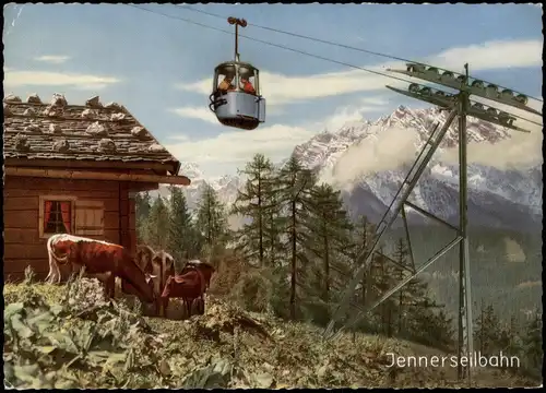 Ansichtskarte Schönau am Königssee Jennerbahn - Künstlerkarte 1982