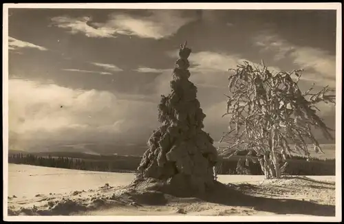 Schellerhau-Altenberg (Erzgebirge) Stimmungsbild im Winter 1927 Privatfoto