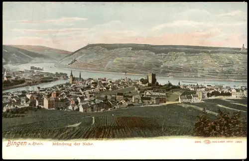 Ansichtskarte Bingen am Rhein Stadtpartie 1907